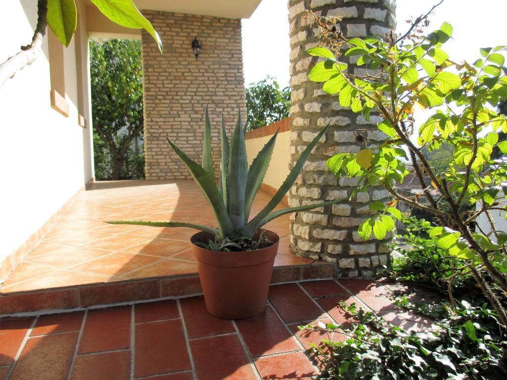 Apartment Mediterran *